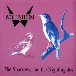 2-wolfsheim-the-sparrows-und-nightingales-black-vinyl-edition